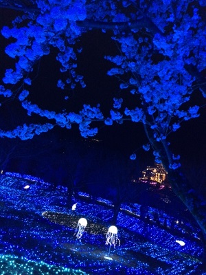 海底に咲いてるみたいな桜