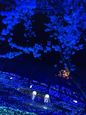 海底に咲いてるみたいな桜