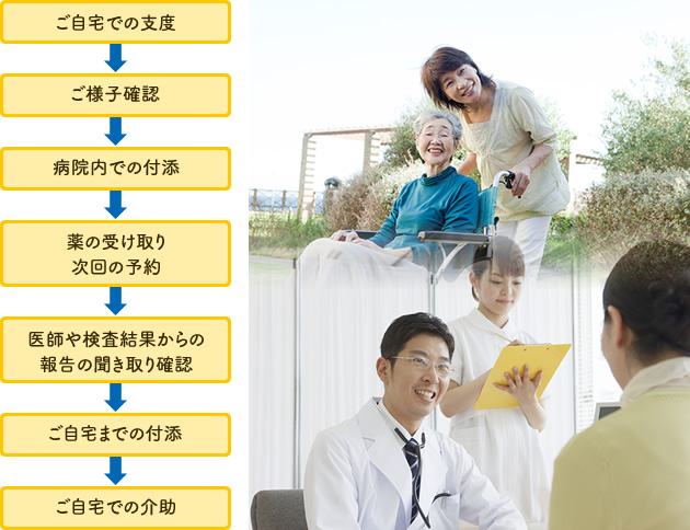 ご自宅での支度　⇒車でのご様子確認⇒病院内での付添⇒医師や検査結果からの報告の聞き取り確認⇒ 薬の受け取り、次回の予約⇒ご自宅までの付添⇒ご自宅での介助