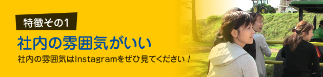 社内の雰囲気がいい